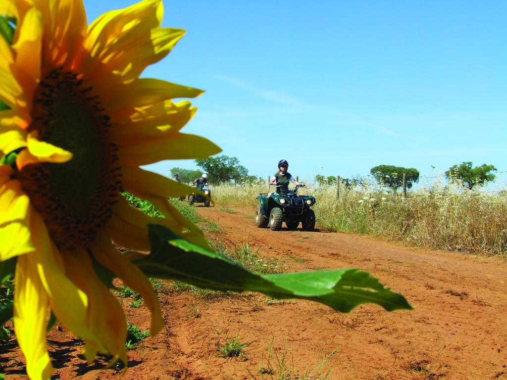 Vila Gale Alentejo Vineyard - Clube De Campo ألبيرونا المظهر الخارجي الصورة