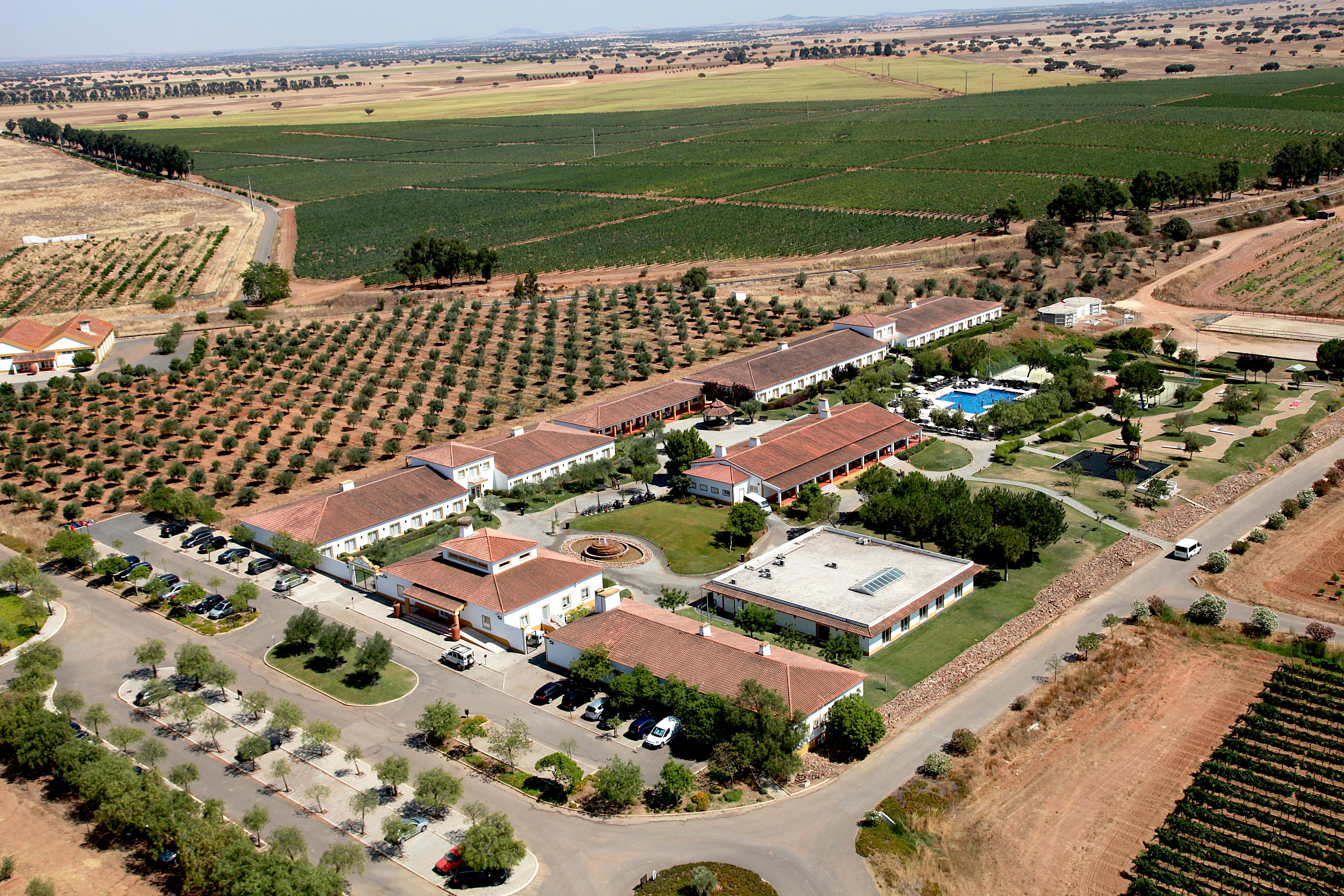 Vila Gale Alentejo Vineyard - Clube De Campo ألبيرونا المظهر الخارجي الصورة