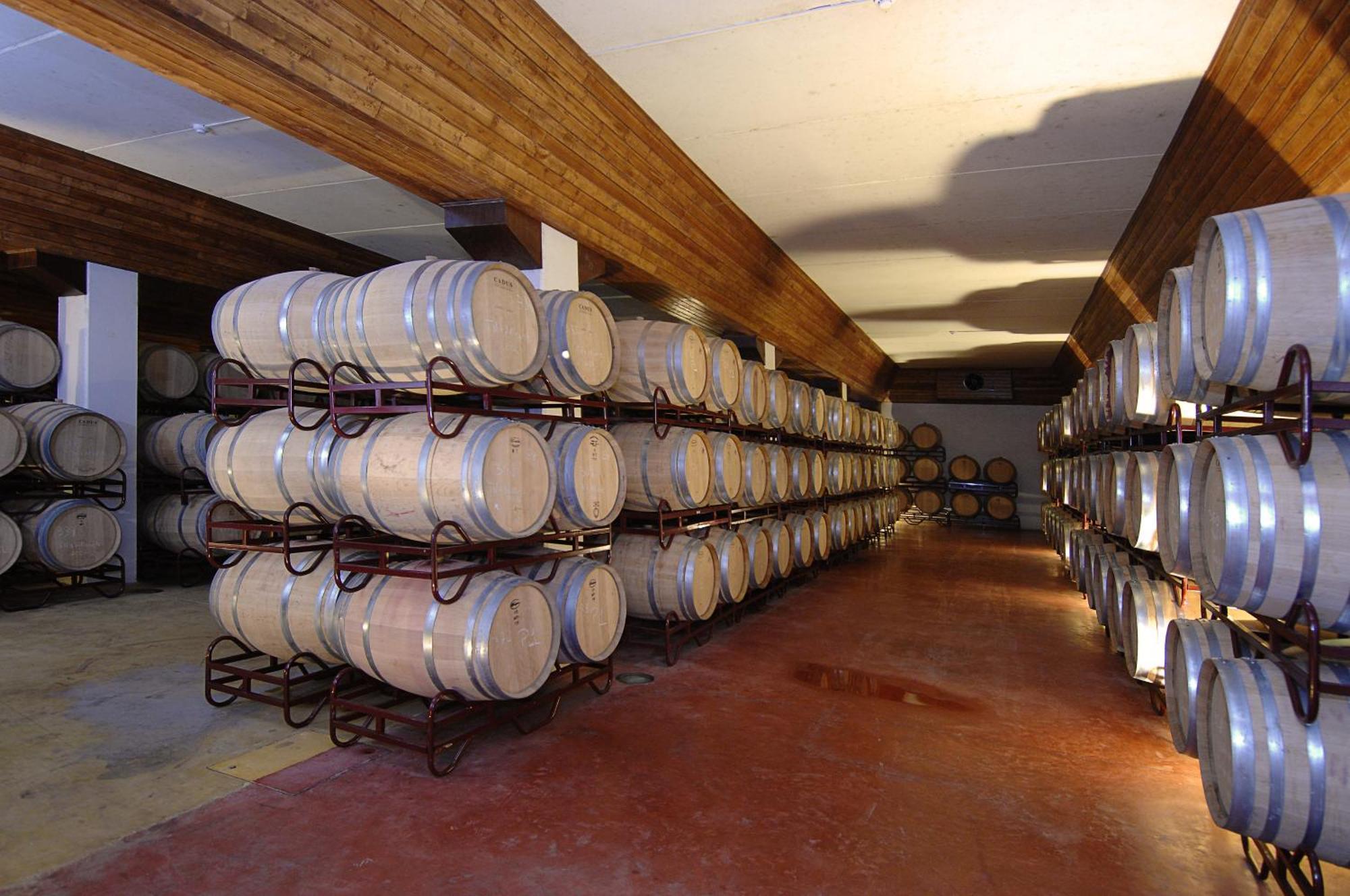 Vila Gale Alentejo Vineyard - Clube De Campo ألبيرونا المظهر الخارجي الصورة