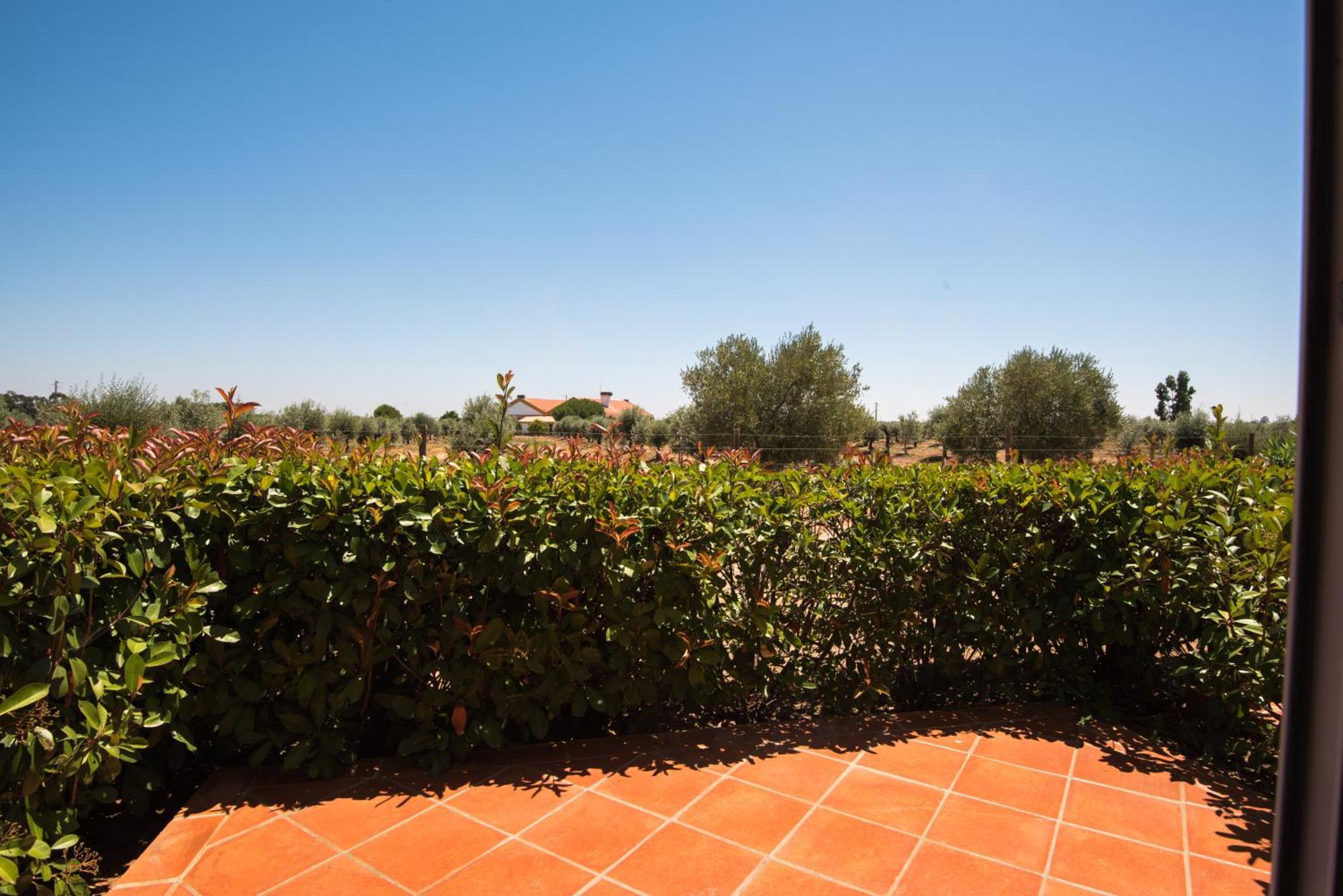 Vila Gale Alentejo Vineyard - Clube De Campo ألبيرونا المظهر الخارجي الصورة