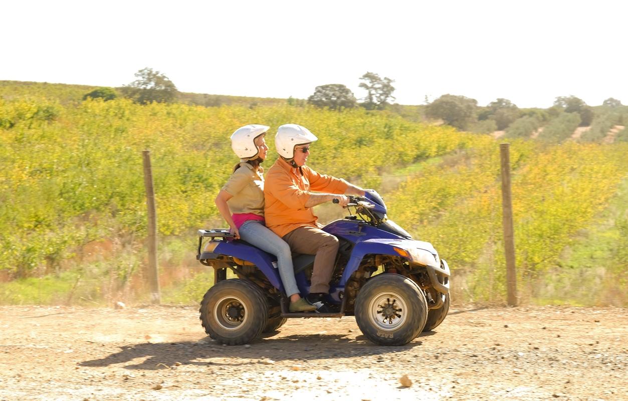 Vila Gale Alentejo Vineyard - Clube De Campo ألبيرونا المظهر الخارجي الصورة