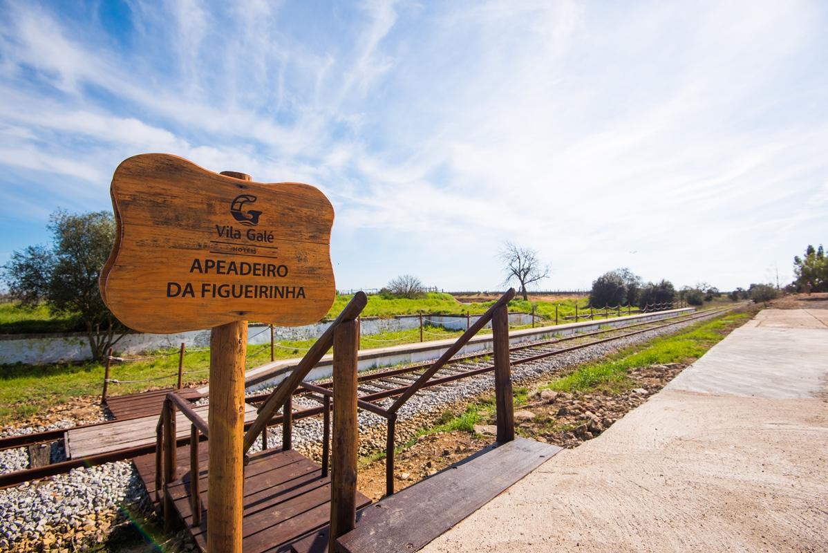 Vila Gale Alentejo Vineyard - Clube De Campo ألبيرونا المظهر الخارجي الصورة