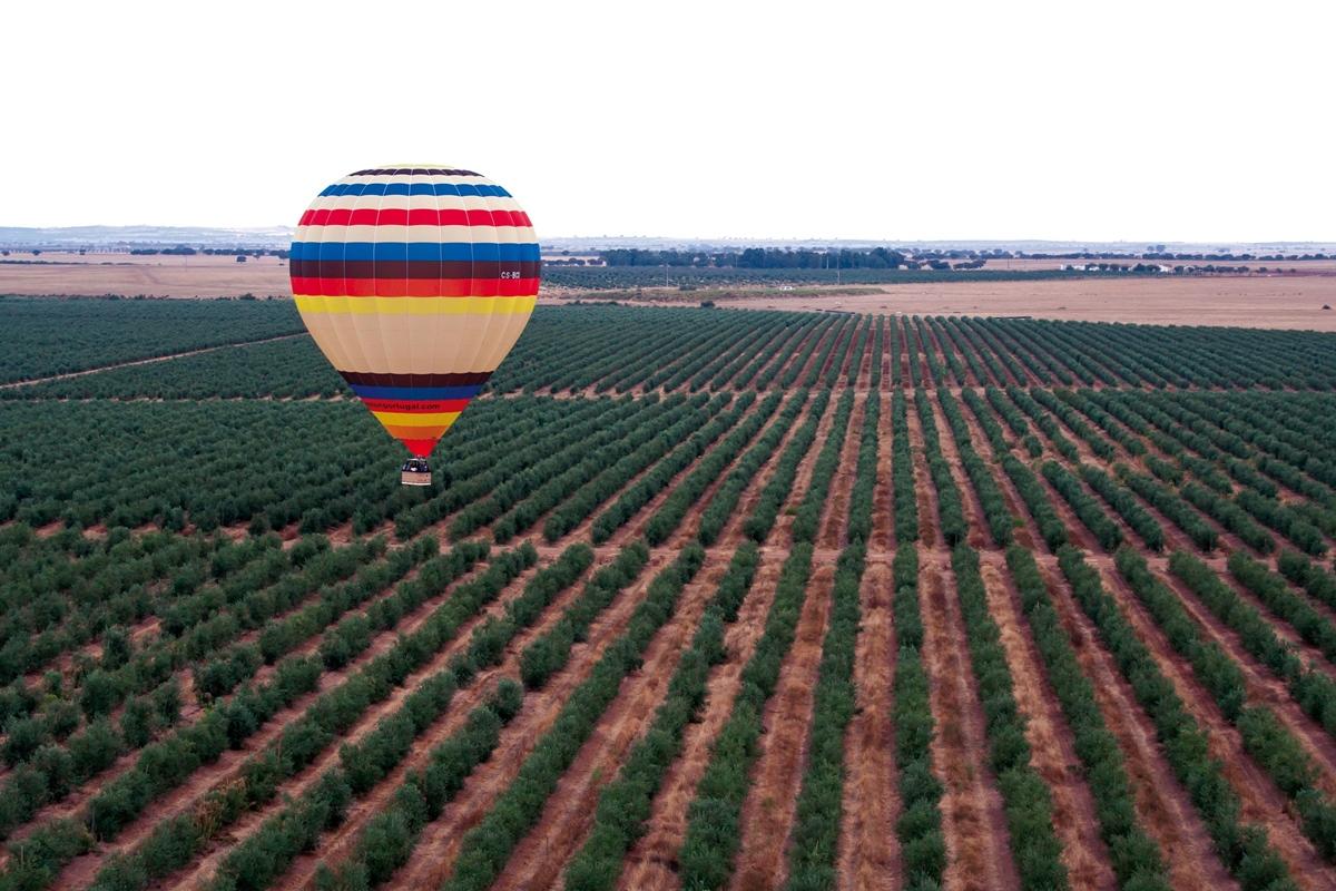 Vila Gale Alentejo Vineyard - Clube De Campo ألبيرونا المظهر الخارجي الصورة