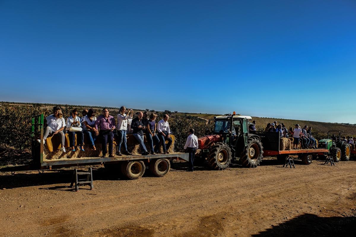 Vila Gale Alentejo Vineyard - Clube De Campo ألبيرونا المظهر الخارجي الصورة