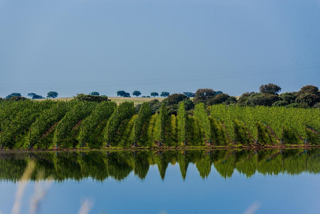 Vila Gale Alentejo Vineyard - Clube De Campo ألبيرونا المظهر الخارجي الصورة