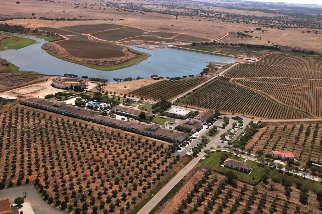 فندق ألبيرونافي  Vila Gale Alentejo Vineyard - Clube De Campo المظهر الخارجي الصورة